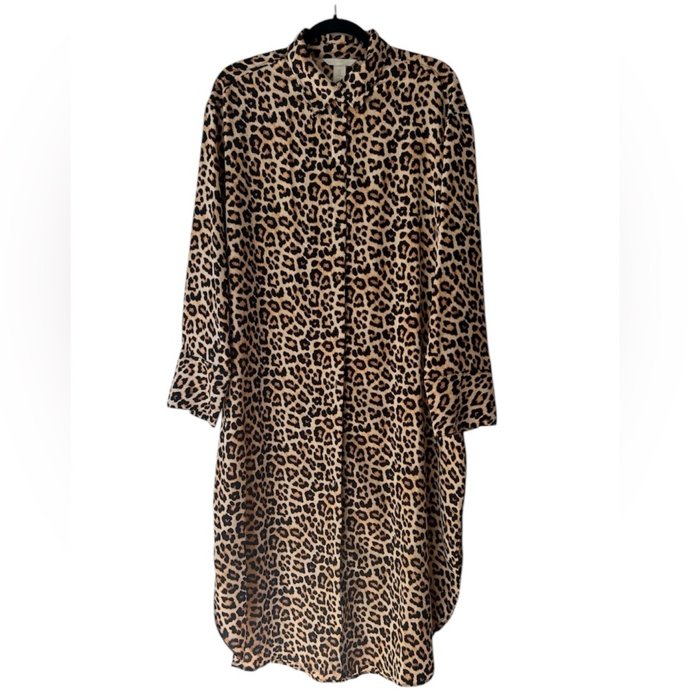H&M Leopard Print Long Sleeve Dress